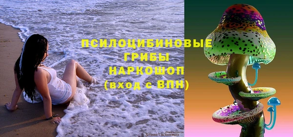первитин Дмитров