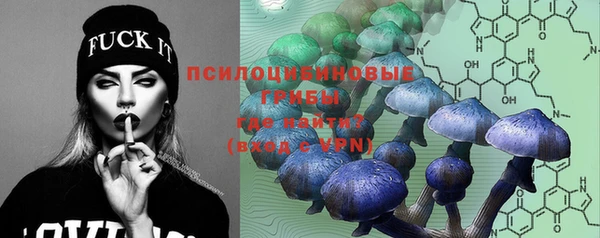 первитин Дмитров
